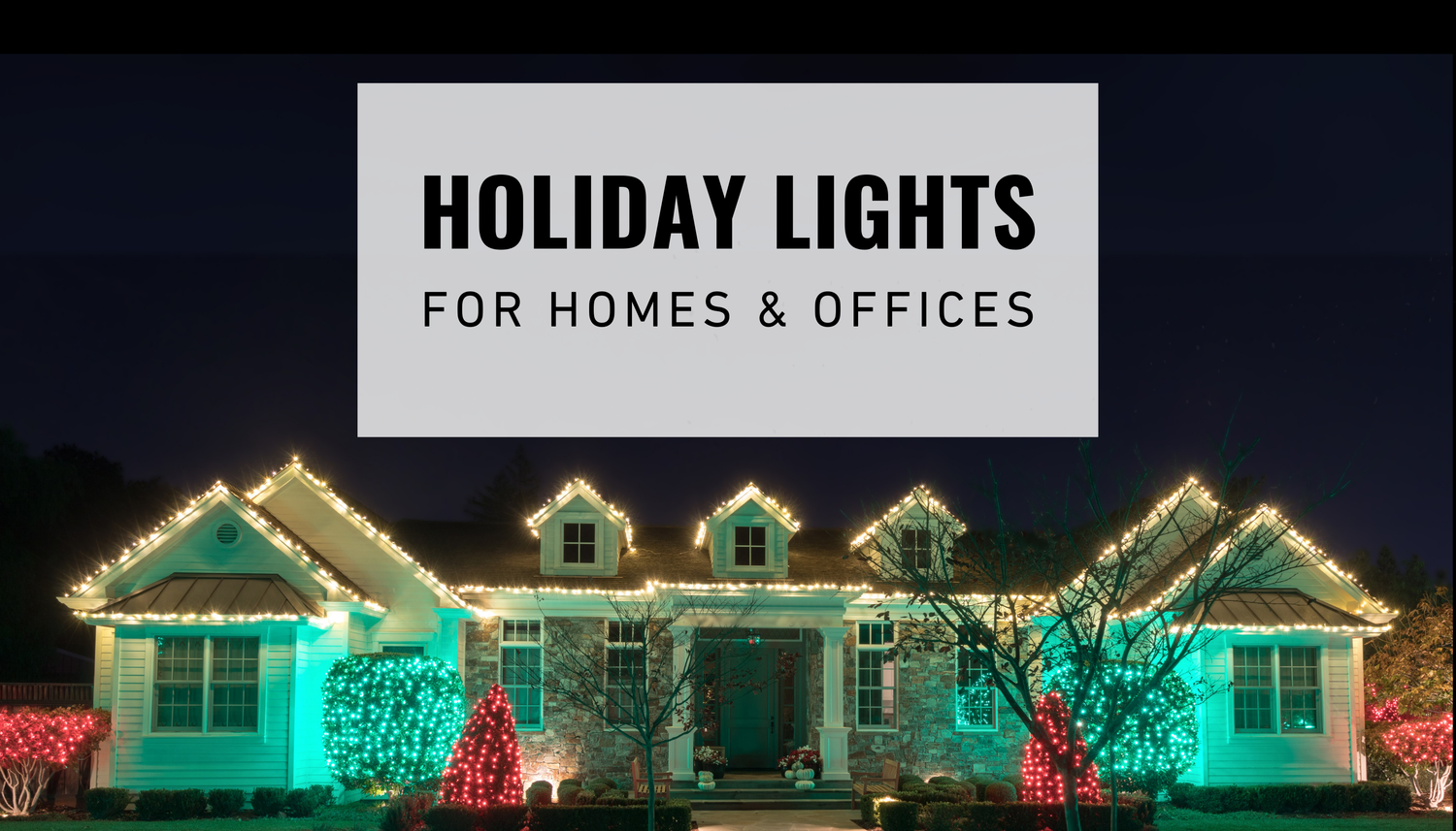 Holiday Lights