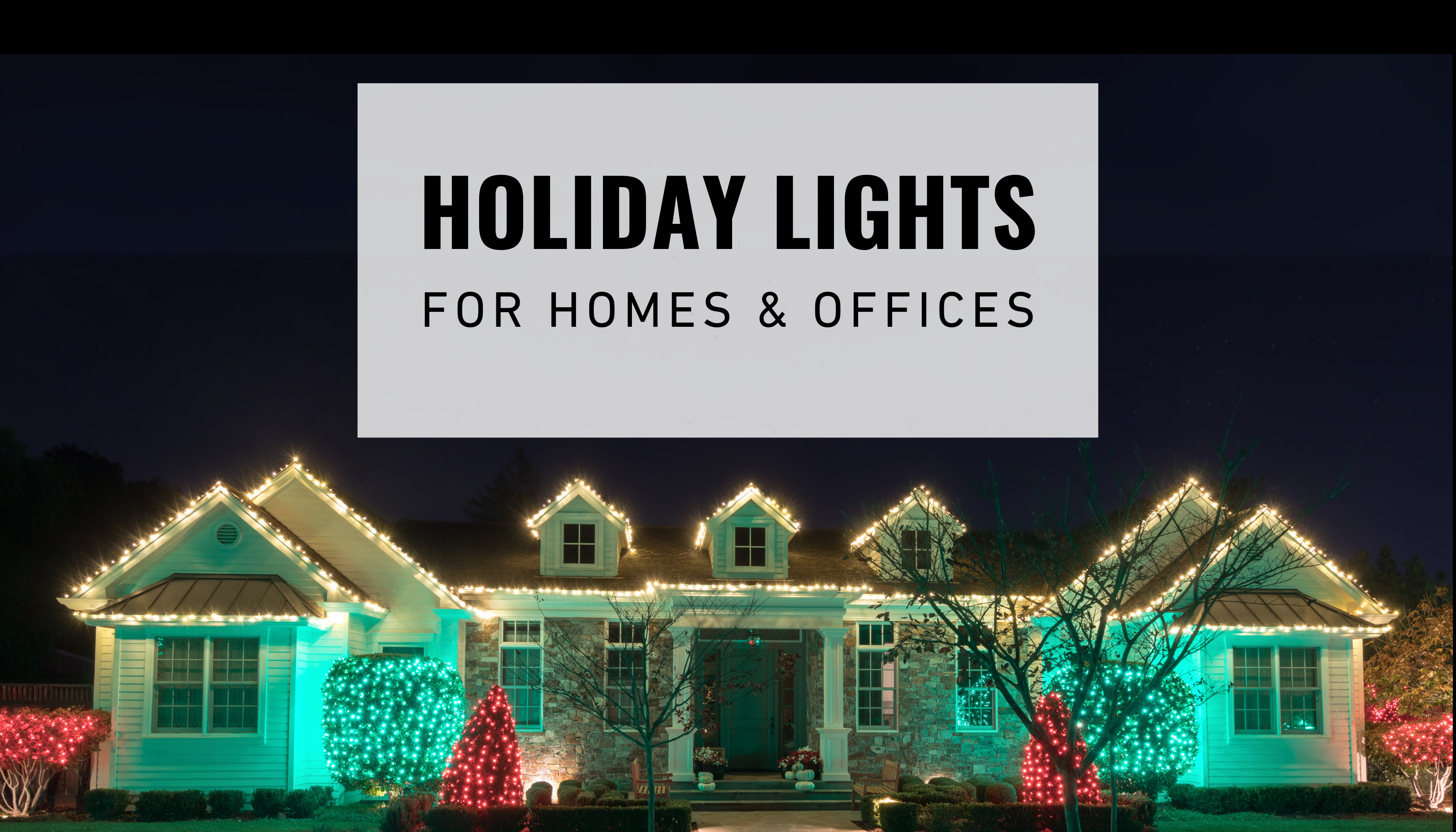 Holiday Lights