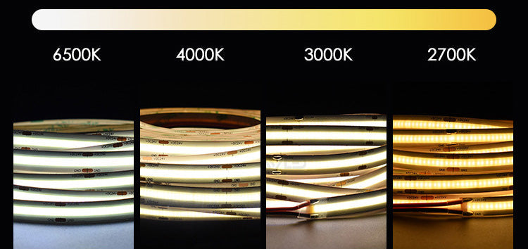 LED Modules & Strip Lights