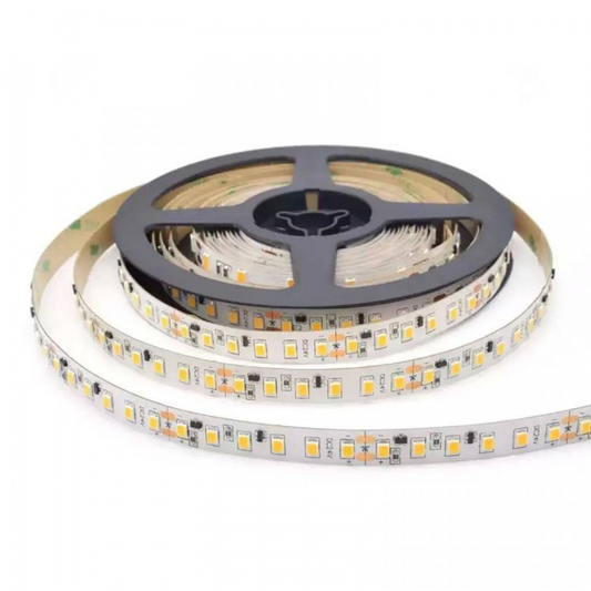 DC24V LED Strip Light — Non-Continuous, 14.4W/m